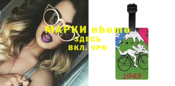 apvp Алзамай