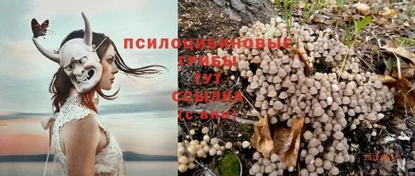 каннабис Алексеевка