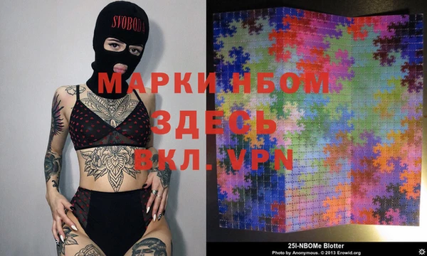 apvp Алзамай