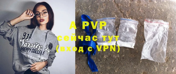 apvp Алзамай